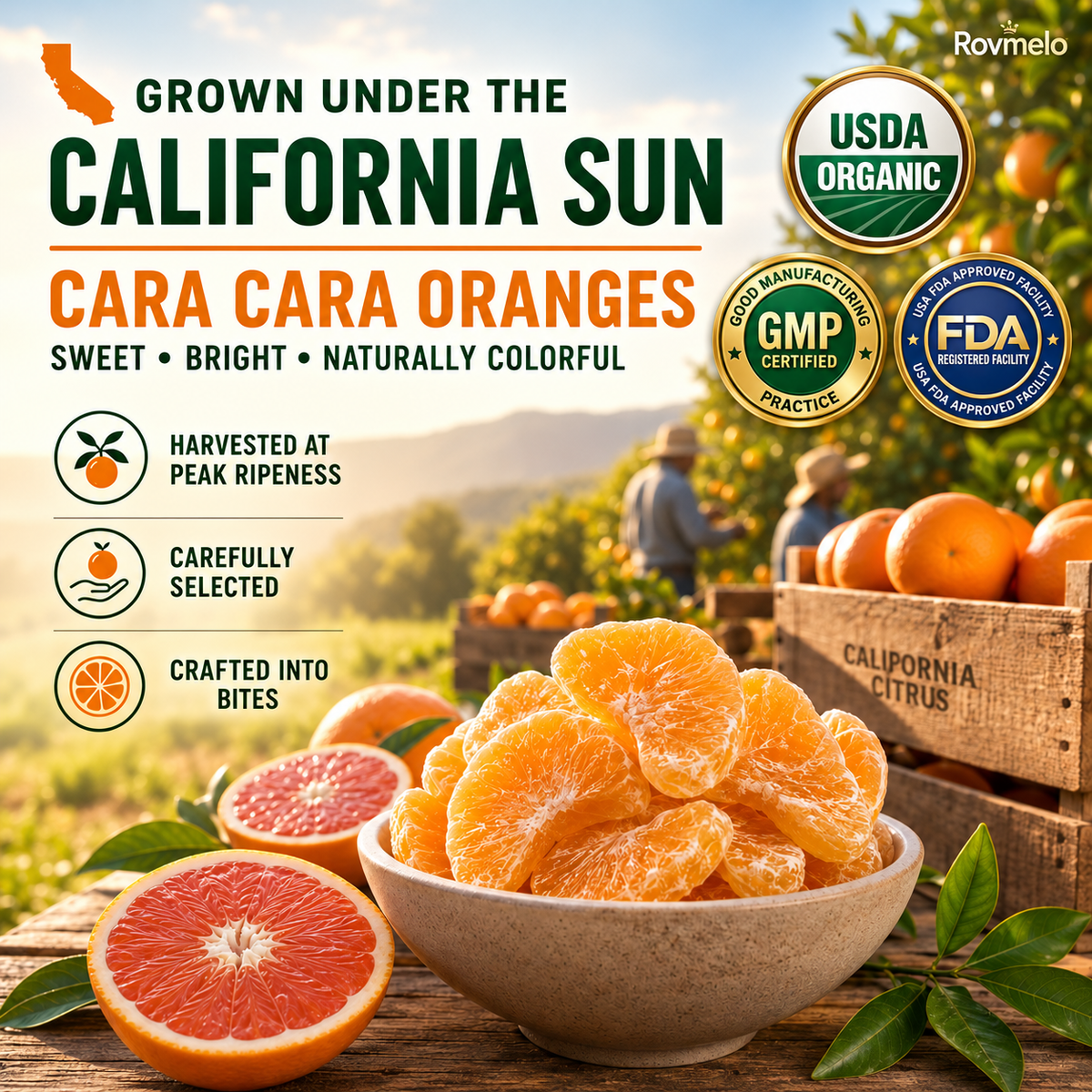 California Cara Cara Orange Bites – Naturally Sweet, Soft & Chewy Healthy Fruit Snack-WH